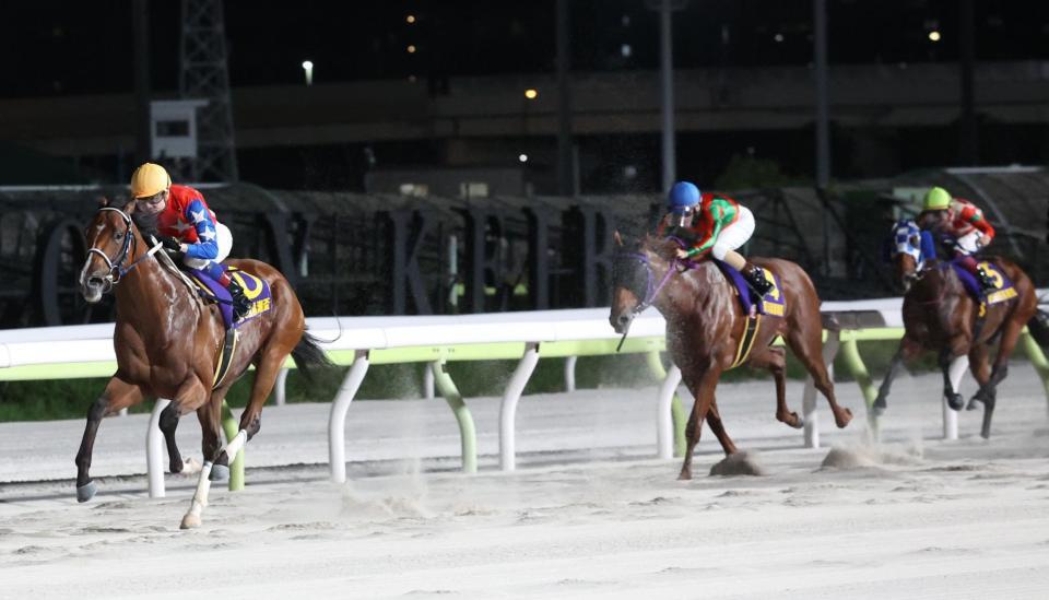 黒潮盃を制したダテノショウグン（左）＝大井競馬場