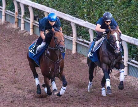 【ＣＢＣ賞】キタノエクスプレス　言うことなし！鞍上が太鼓判　持ったまま先着　初挑戦で重賞Ｖだ