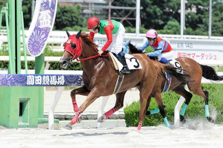 ２Ｒをエイシンジェットで制した小牧太（提供・兵庫県競馬組合）