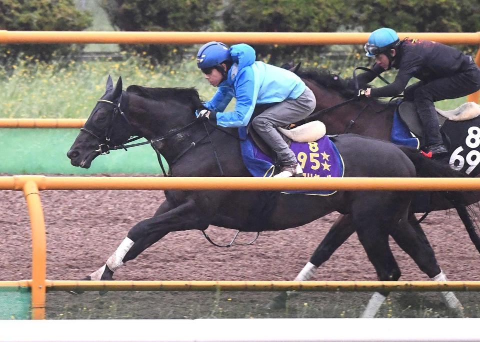 　併せ馬で先着するシャフリヤール（手前）