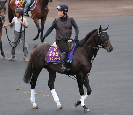 【中京＆新潟＆札幌の危険な人気馬】シャフリヤール　札幌１１Ｒ