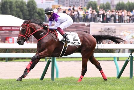 　新馬戦を制したメリディアンスター（撮影・園田高夫）