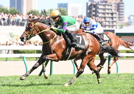 　クローバー賞を勝ったニタモノドウシ（撮影・園田高夫）