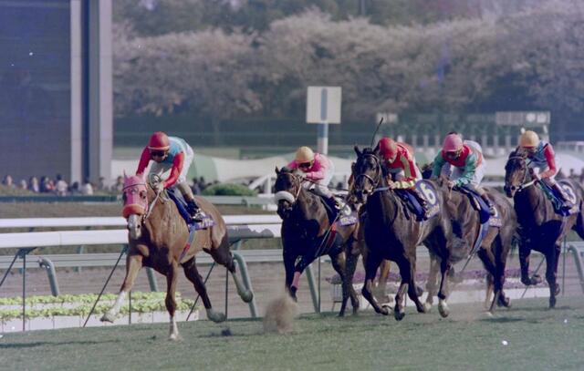 96年皐月賞馬イシノサンデー死す 老衰 31歳