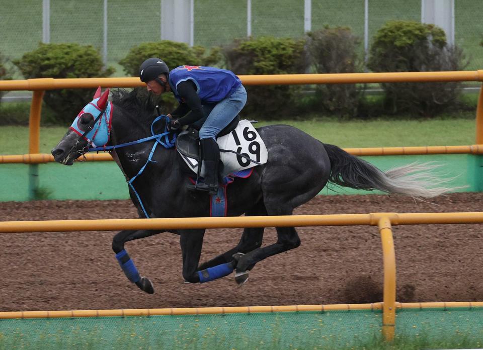 　函館Ｗで力強く動いたビッグシーザー