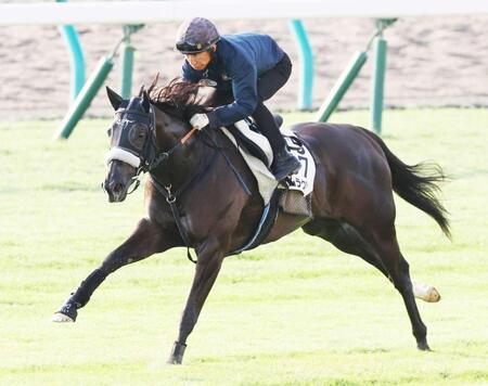 　長谷川師を背に札幌芝で軽快に動いたナムラクレア　