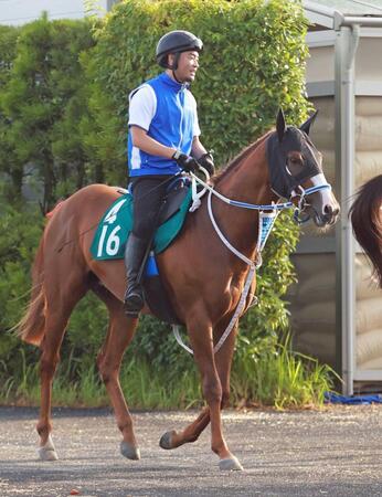 【新馬戦】落札価格１億４０００万円の期待馬ダノンカゼルタ　初戦から好勝負必至　寺島師も自信「指示をしっかり聞ける優等生」