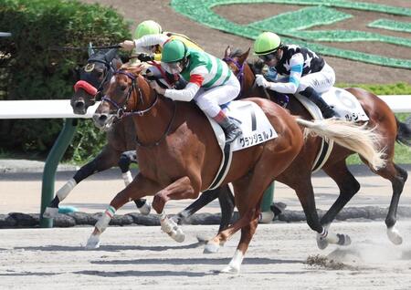 【新馬戦】グランジョルノ　豪快に突き抜けた　ルメールも高評価「最後は楽勝だったね」