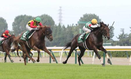 【新潟２歳Ｓ】トータルクラリティ重賞初制覇　バゴ産駒から大物登場！北村友「もっと活躍できる」