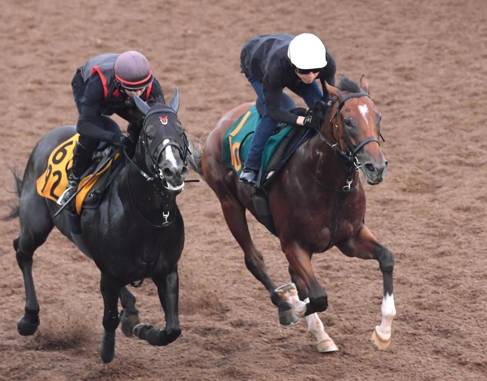 　美浦坂路を力強く駆け上がるエンドレスサマー（右）＝撮影・佐々木彰尚