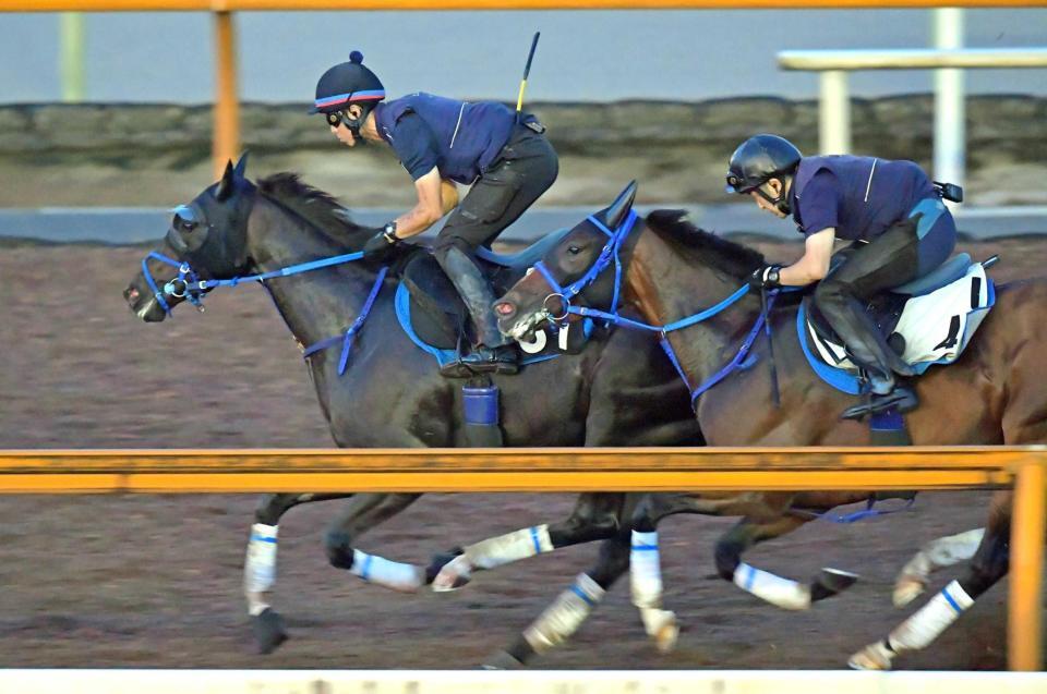 　５１年ぶりの３歳牝馬Ｖを目指すライトバック（奥）＝撮影・石湯恒介