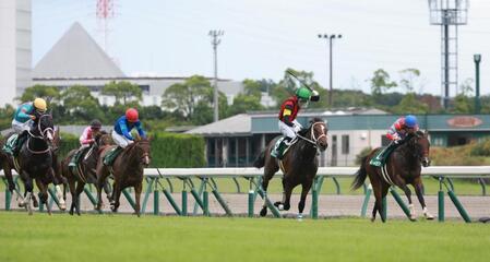 　小倉２歳Ｓを制したエイシンワンド（右から２頭目）