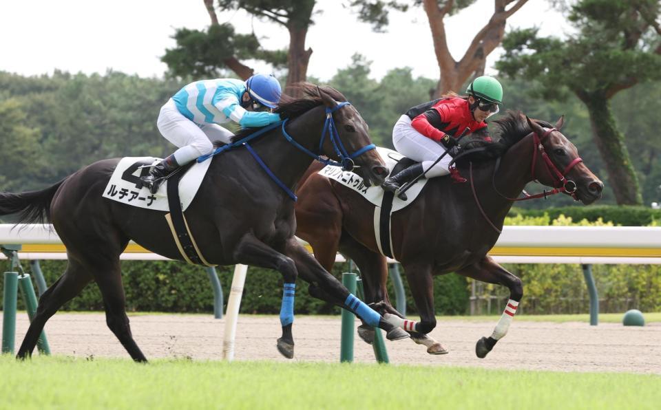 　ルチアーナを振り切る大江原騎乗のマリノトニトゥルス（右）