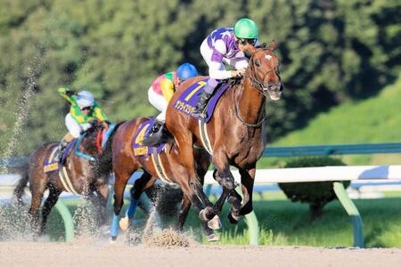 　武豊騎乗で不来方賞を制したサンライズジパング（提供・岩手県競馬組合）