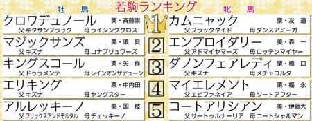 　若駒格付けランキング表