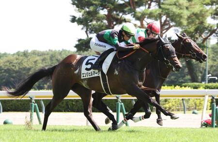 初陣を勝利したエンジェルマーク（手前）＝新潟競馬場