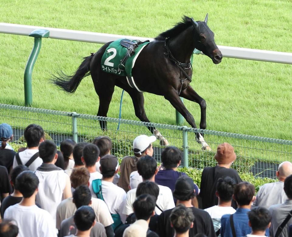 　新潟記念の出走前に放馬したライトバック