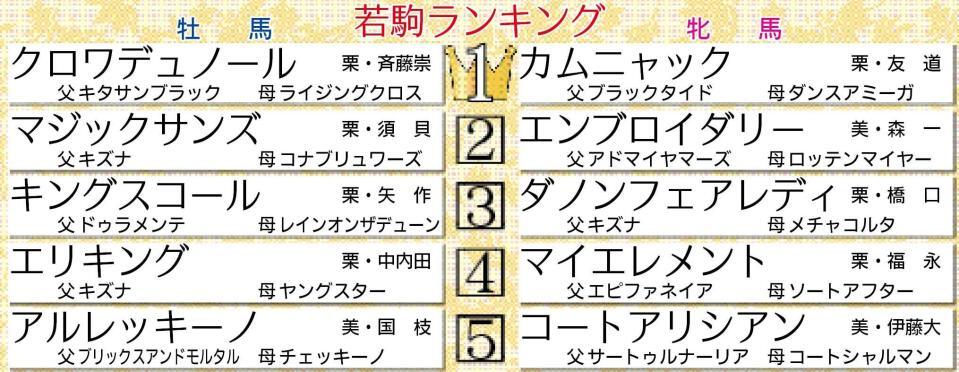 　若駒格付けランキング表