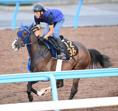 　シャープな伸びを披露したボンドガール（撮影・園田高夫）