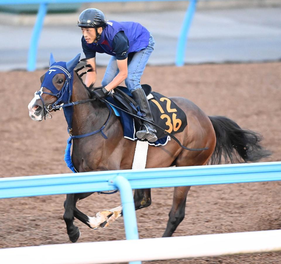 　シャープな伸びを披露したボンドガール（撮影・園田高夫）