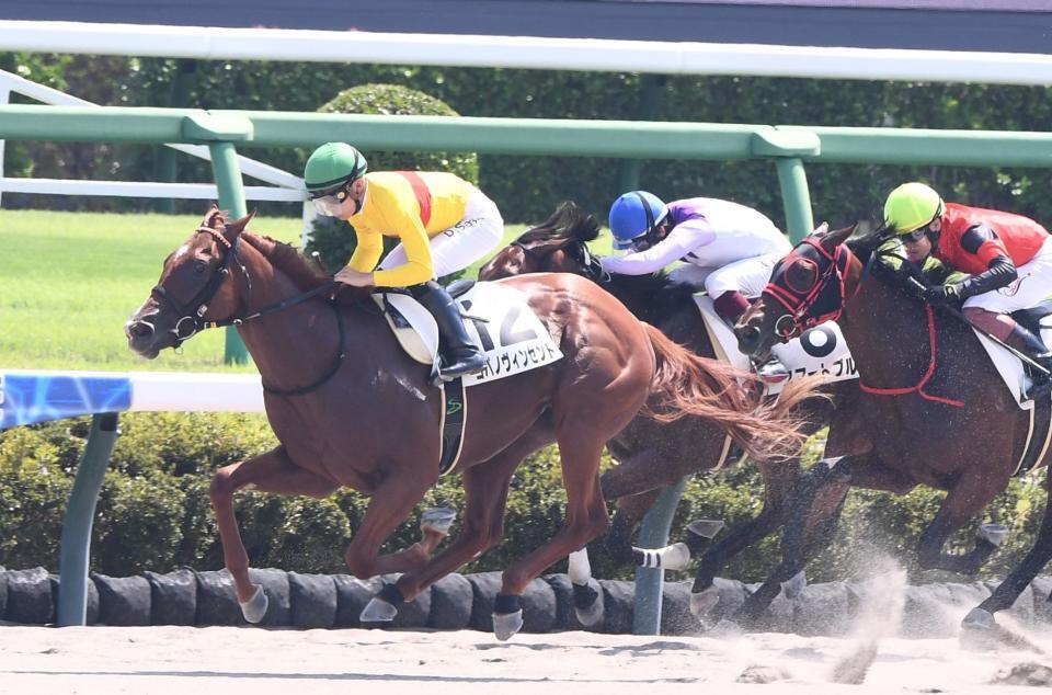 　２歳新馬戦を制したコパノヴィンセント（左）＝撮影・園田高夫