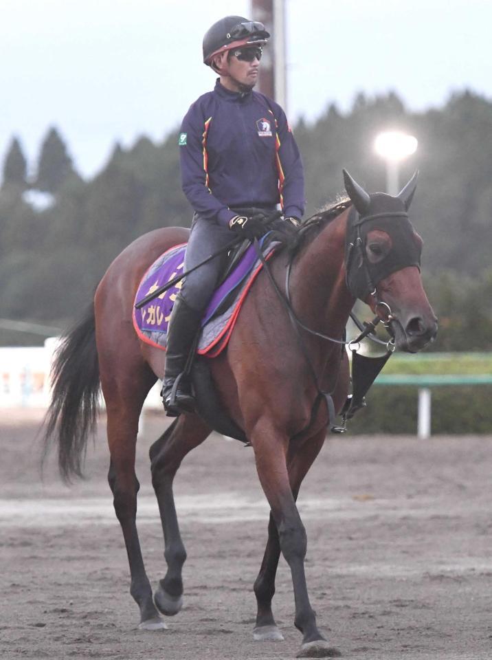 　自身初の牝馬限定戦で久々の重賞Ｖを狙うレガレイラ＝撮影・園田高夫