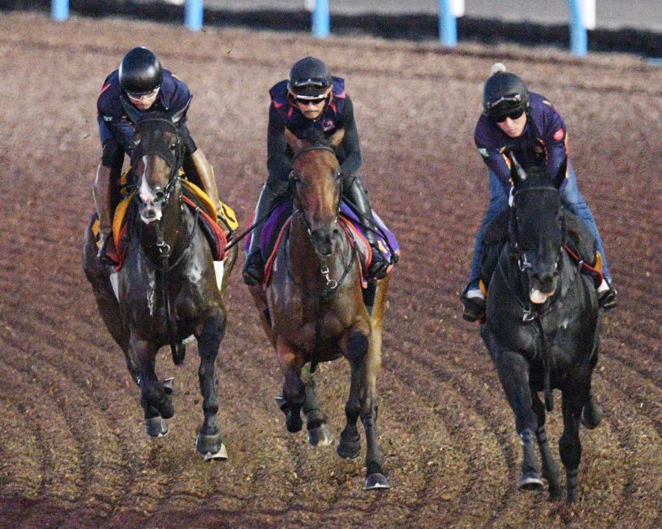 　３頭併せで伸びやかに駆け抜けるレガレイラ（中央）＝撮影・佐々木彰尚