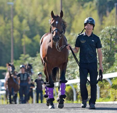 Ｇ１・３勝馬ドウデュース帰厩　友道師「徐々に上げていく」