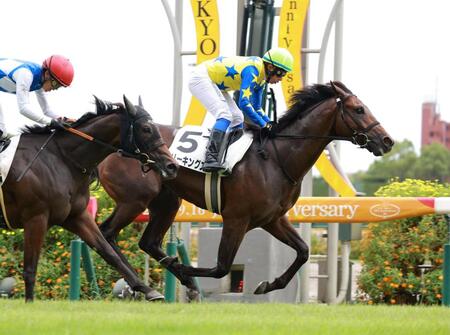 　新馬戦を快勝したスリーキングス＝中京競馬場（撮影・石湯恒介）