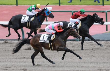 　新馬戦を快勝したキタノサワヤカ（手前）＝中京競馬場（撮影・石湯恒介）