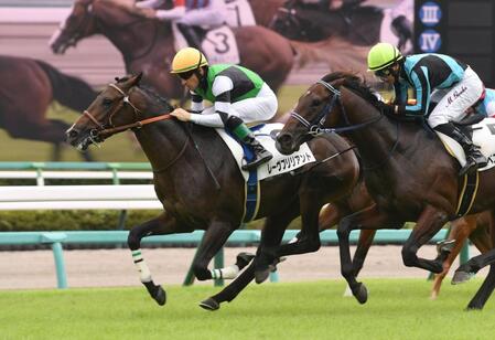 　新馬戦を制したレーヴブリリアント（撮影・佐々木彰尚）