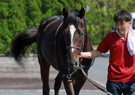 【野路菊Ｓ】藤田晋オーナーのエリキング、出世レースでトップ狙う！　馬名の由来はＣＥＯ務めるＪ１町田ゼルビアＦＷエリキ