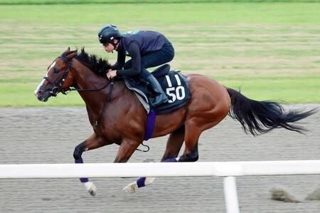 　栗東ＤＰで鋭い伸びを見せたメリオーレム（撮影・石湯恒介）