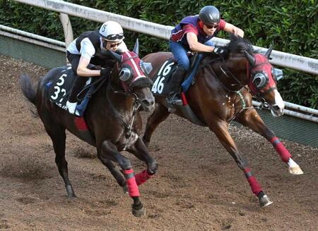 　得意の中京で重賞２勝目を目指すジューンテイク（左）＝撮影・北村雅宏