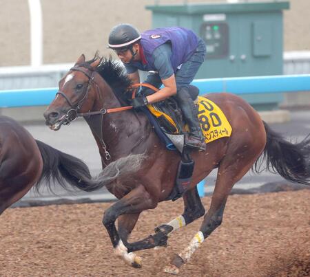 【オールカマー】レーベンスティール　滑らかに超加速　進化重ね飛躍の秋へ　田中博師「一歩ずつ成長しています」