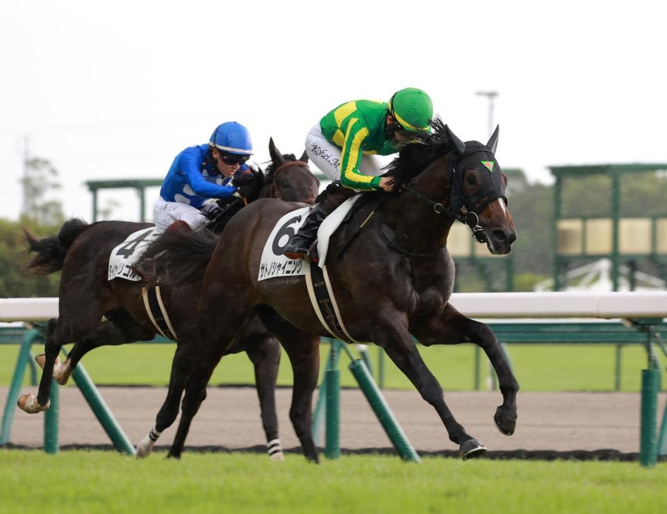 　新馬戦を快勝したサトノシャイニング（撮影・石湯恒介）