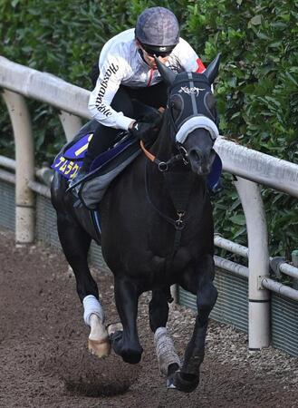 　栗東坂路で追い切るナムラクレア（撮影・北村雅宏）