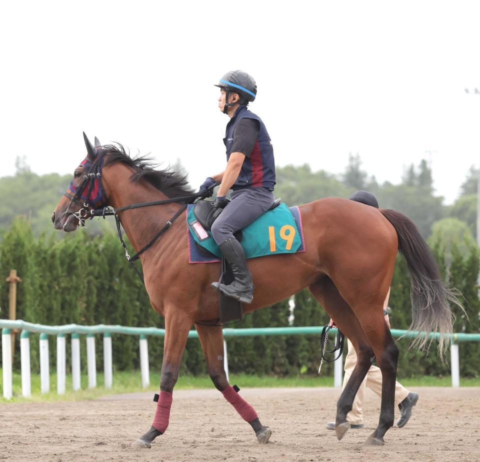 　サフラン賞で２勝目を目指すエンブロイダリー