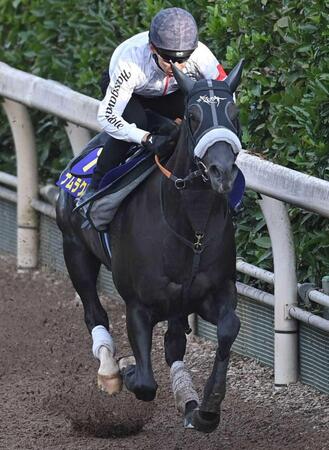 【スプリンターズＳ】ナムラクレア　良好　栗東坂路で切れある動き　悲願のＧ１制覇ヘ　長谷川師「状態いい」