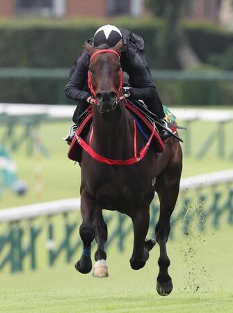 　モレイラを背に中山芝コースで追われるビクターザウィナー