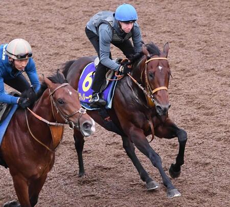 【スプリンターズＳ】サトノレーヴ　躍動　初戴冠へ最終リハ　堀師も納得の動き「時計的な強度もちょうど良い」