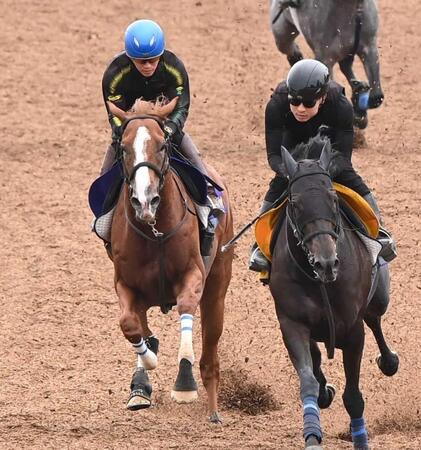 【スプリンターズＳ】トウシンマカオ　中２週問題なし　高柳瑞師「右回りなのでチャンスはある」