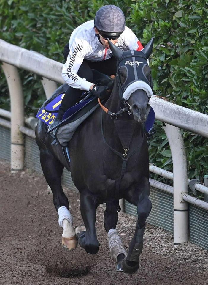 　栗東坂路を力強く駆け上がるナムラクレア（撮影・北村雅宏）