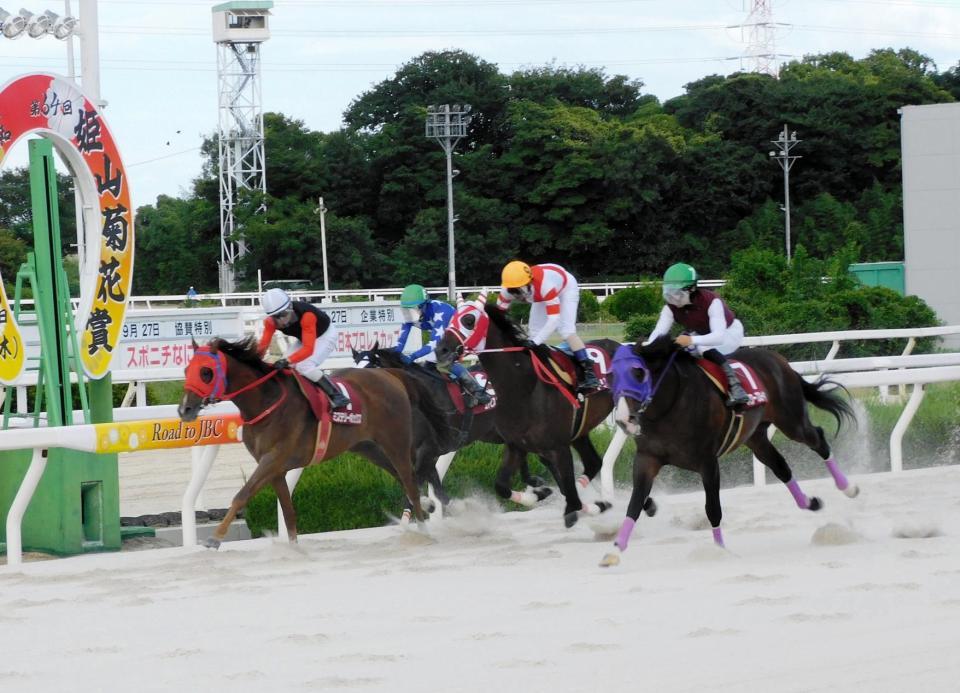 　重賞初勝利を挙げたパワーブローキング（左から４頭目）＝撮影・中山伸治