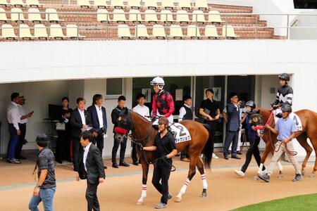 　中山６Ｒ新馬戦のパドックで愛馬タドウリョクを優しく見つめる堀江貴文氏