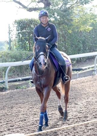 【スプリンターズＳ】展開から浮上するのはこの馬だ