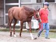 【スプリンターズＳ】馬場状態から浮上するのはこの馬だ