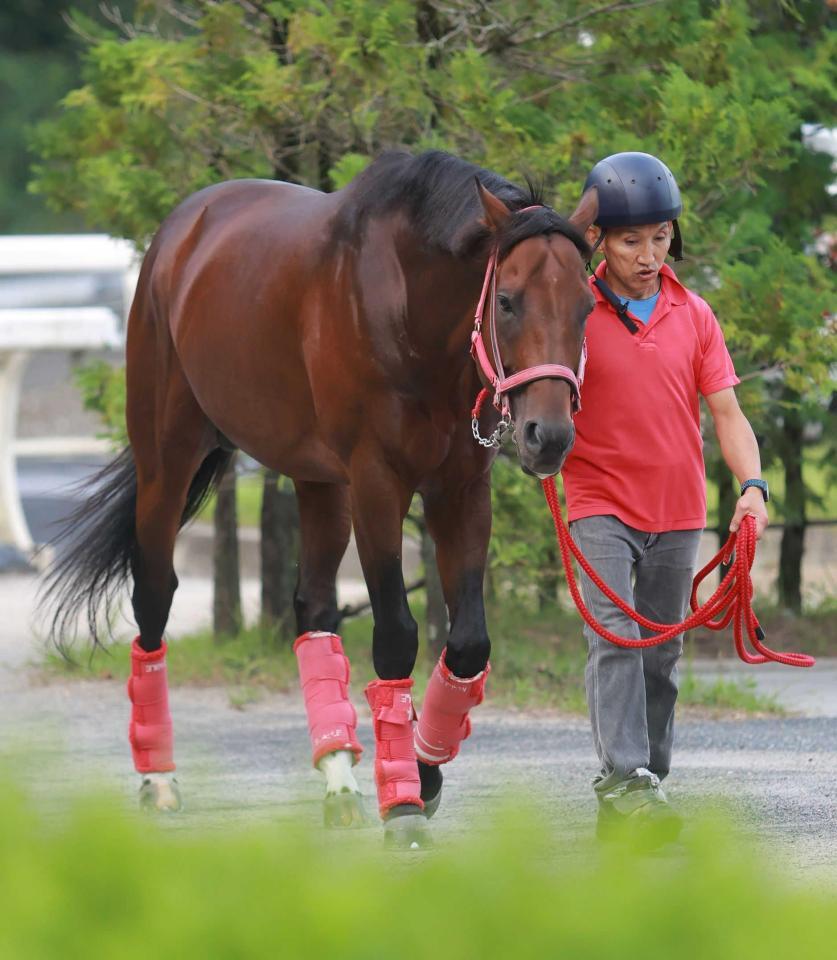 　長欠明けでも侮れないヴェントヴォーチェ