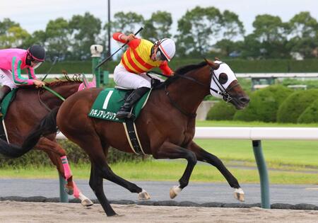 【シリウスＳ】ハギノアレグリアス連覇　トップハンデも７歳馬が貫禄　岩田望が会心騎乗でエスコート