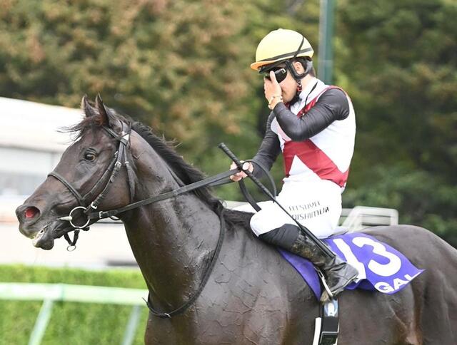 スプリンターズS】ルガルがG1初制覇 7年目西村淳もG1初勝利に